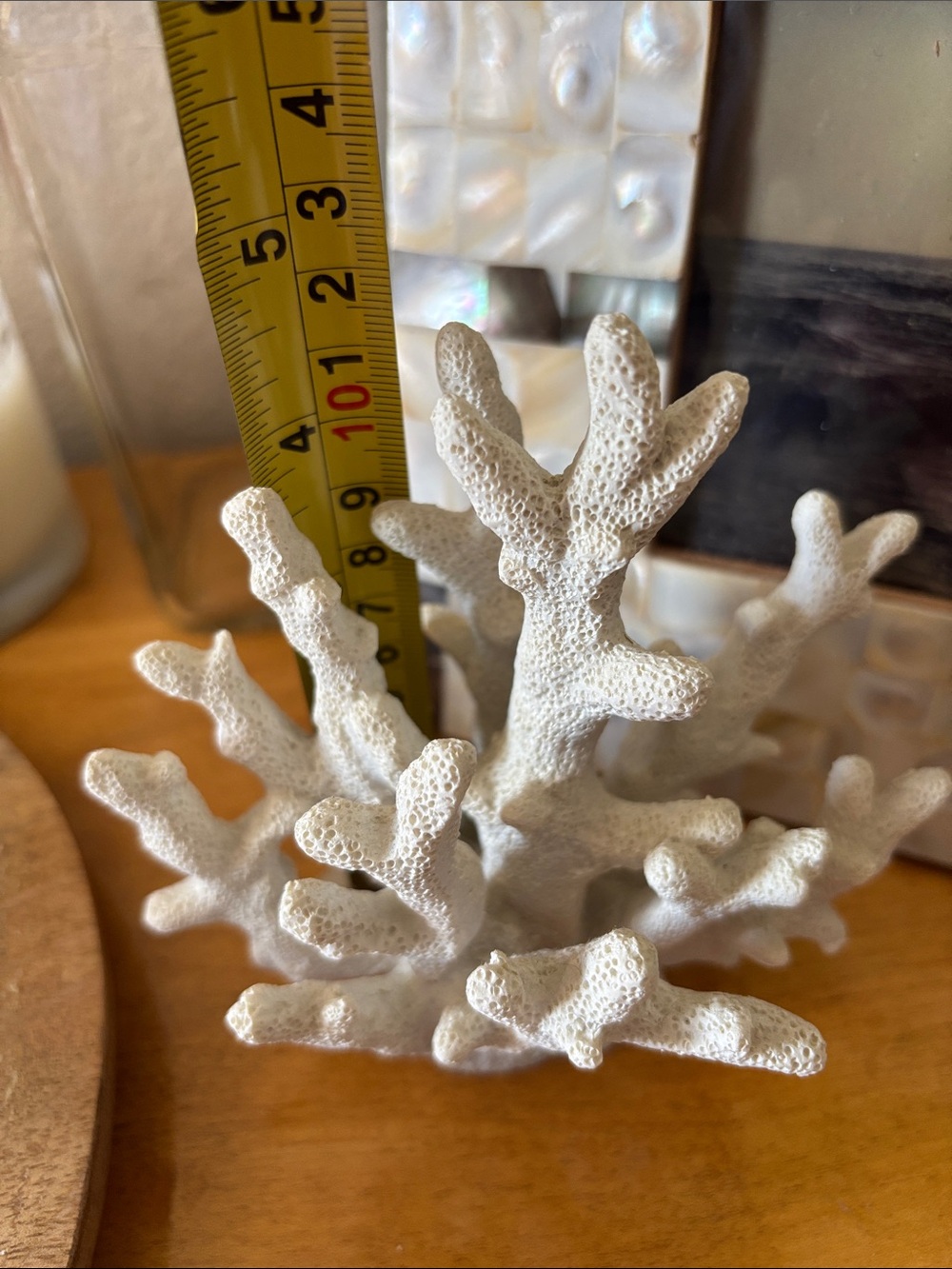 Cost Plus World Market White Coral Accent Sculpture - Picture 3 of 4